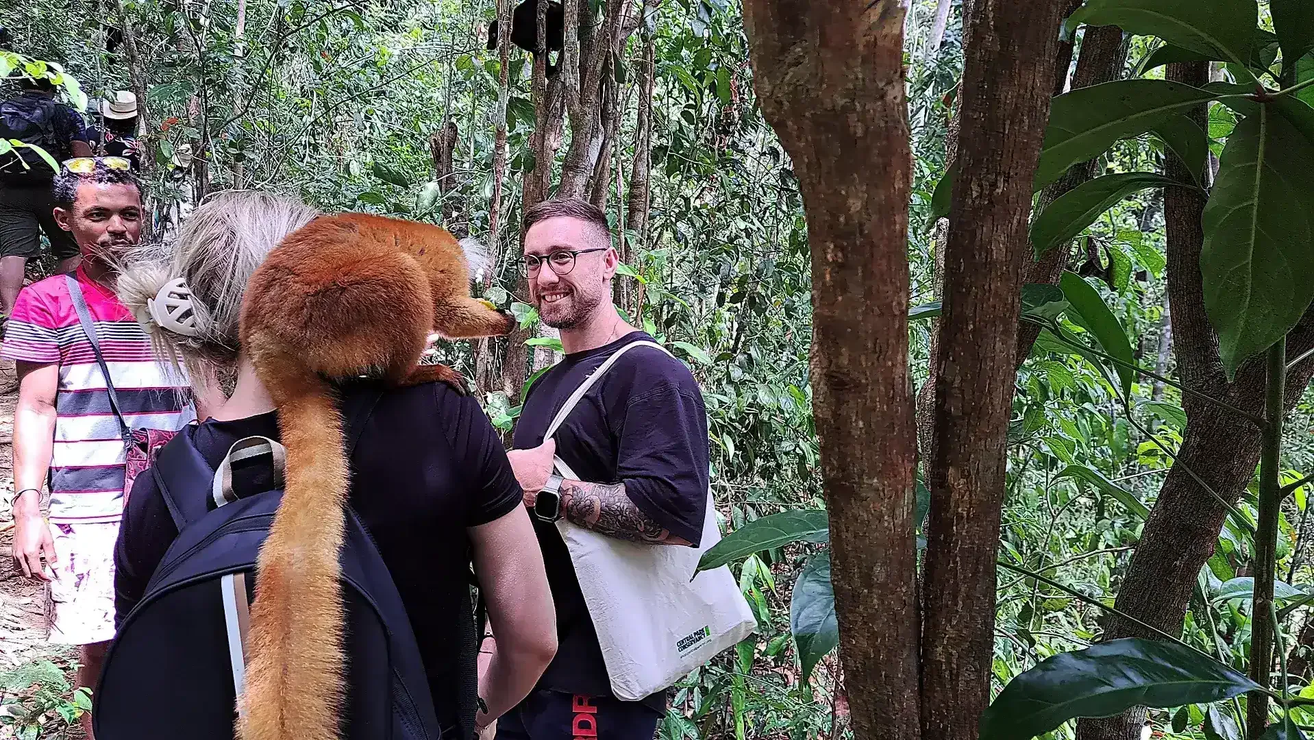 Lemurs watching at Loko Be National Park, Nosy Be, Madagascar