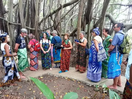 Local Guide Sharing Stories