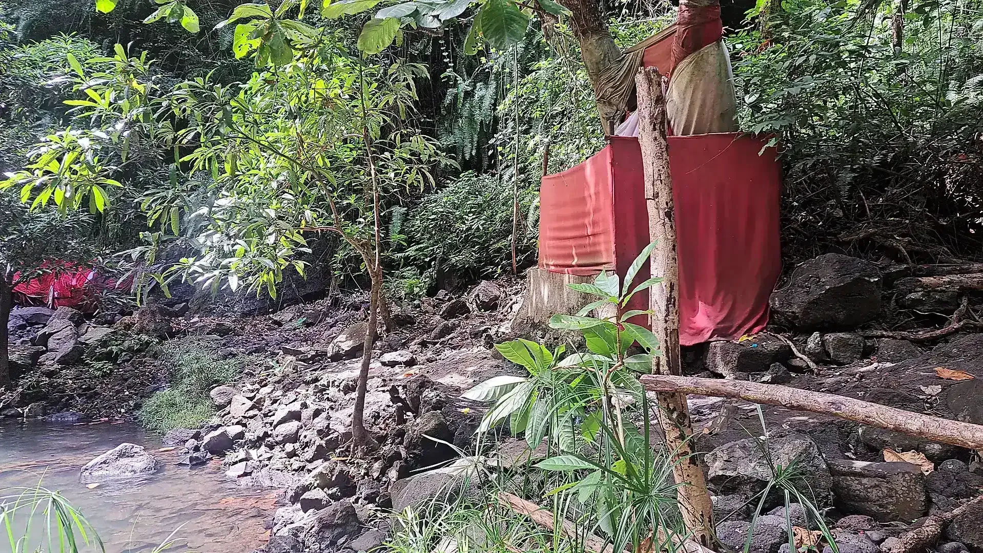Cultural Insights