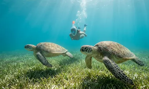 Nosy Sakatia