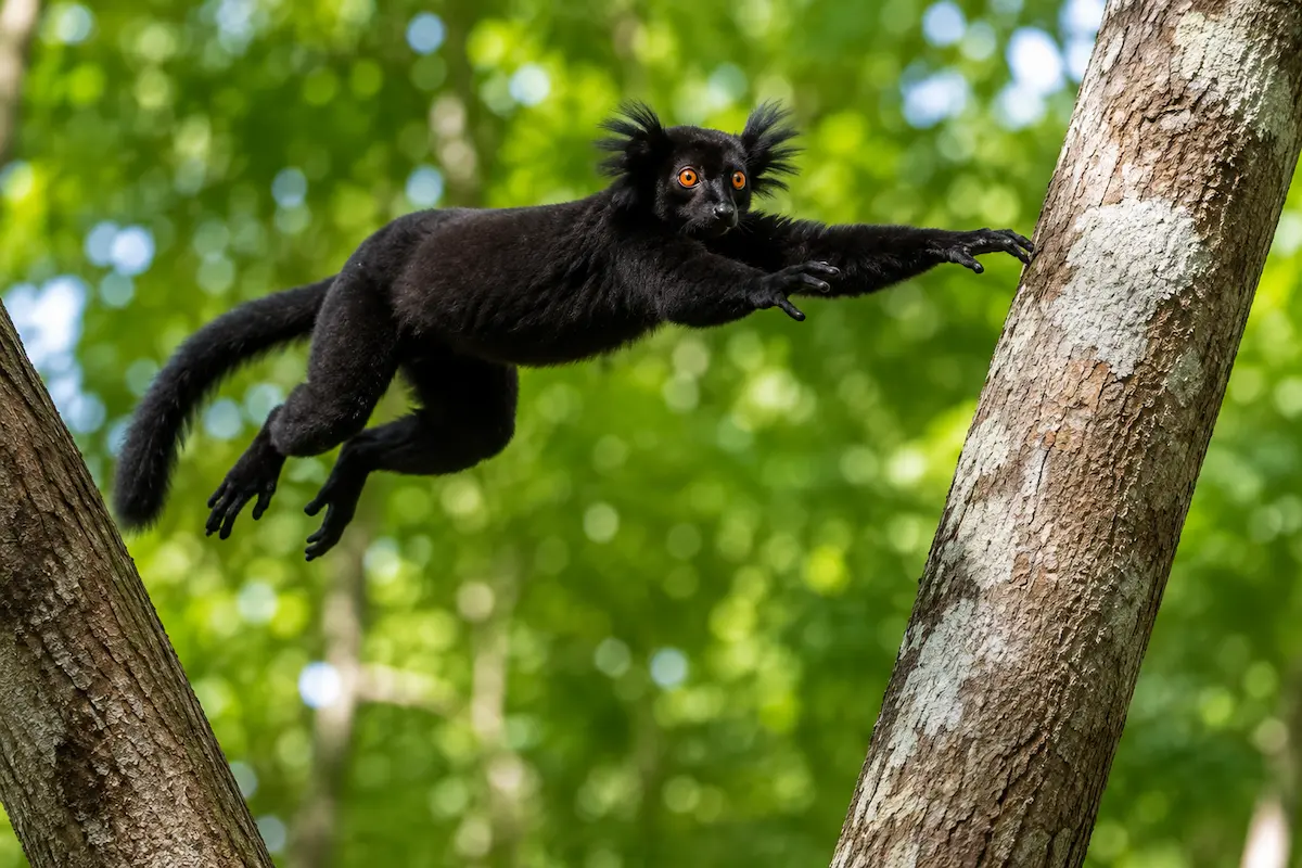5-day island discovery escape adventure tour in Nosy Be Madagascar