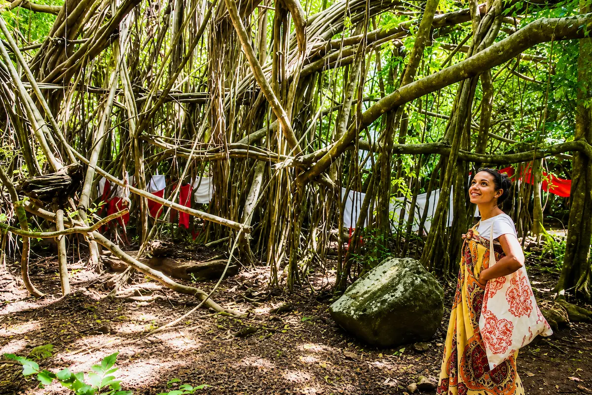 Sacred Banyan Forest at Mahatsinjo, Nosy Be, Madagascar