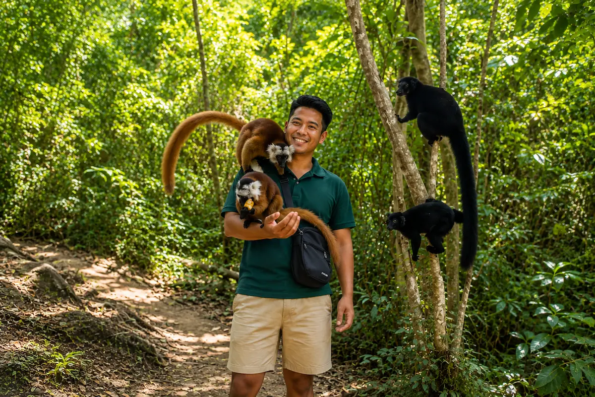 Lemur encounter at Lokobe National Park in Nosy Be Madagascar