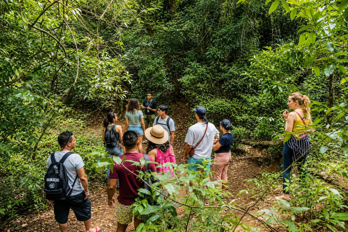 Tropical forest in Lokobe National Park, Nosy Be, Madagascar