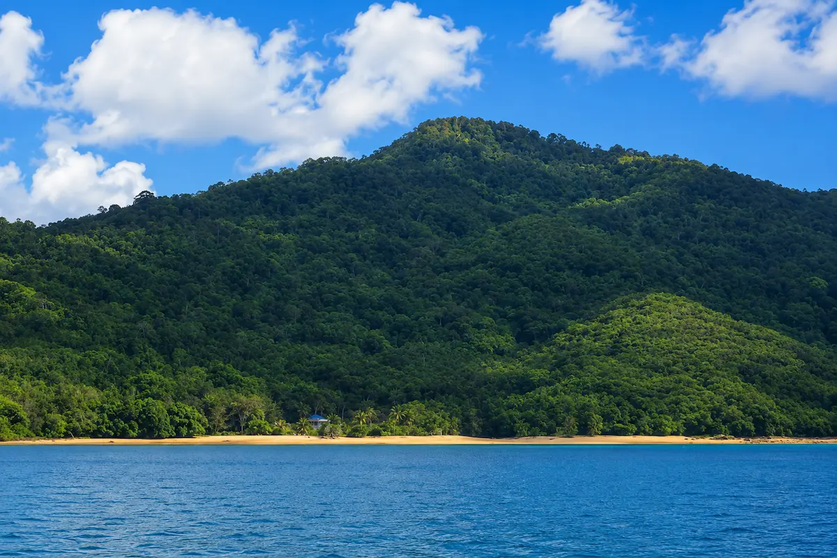 Rainforest trail in Lokobe National Park, Nosy Be, Madagascar