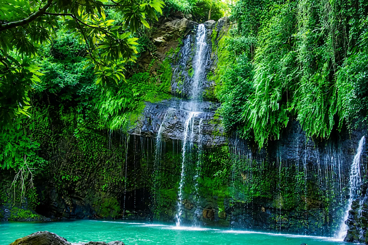 Beautiful tropical waterfall visited during Madagascar nature tour