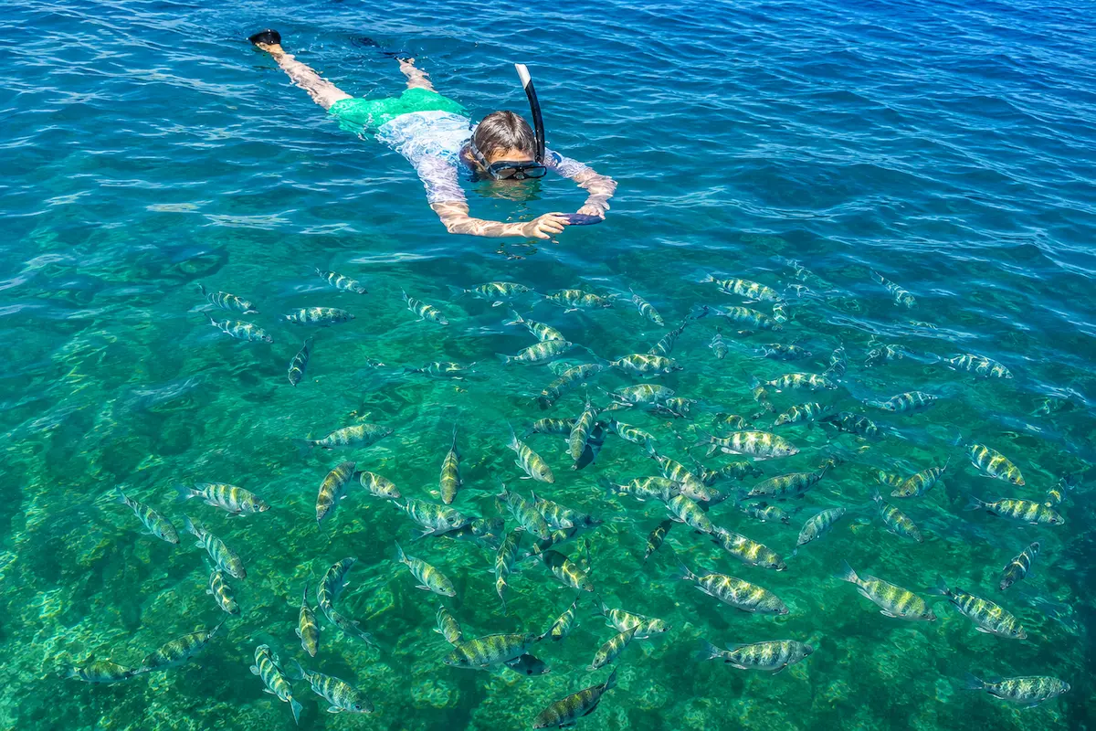 Marine wildlife experience in Nosy Sakatia, Madagascar