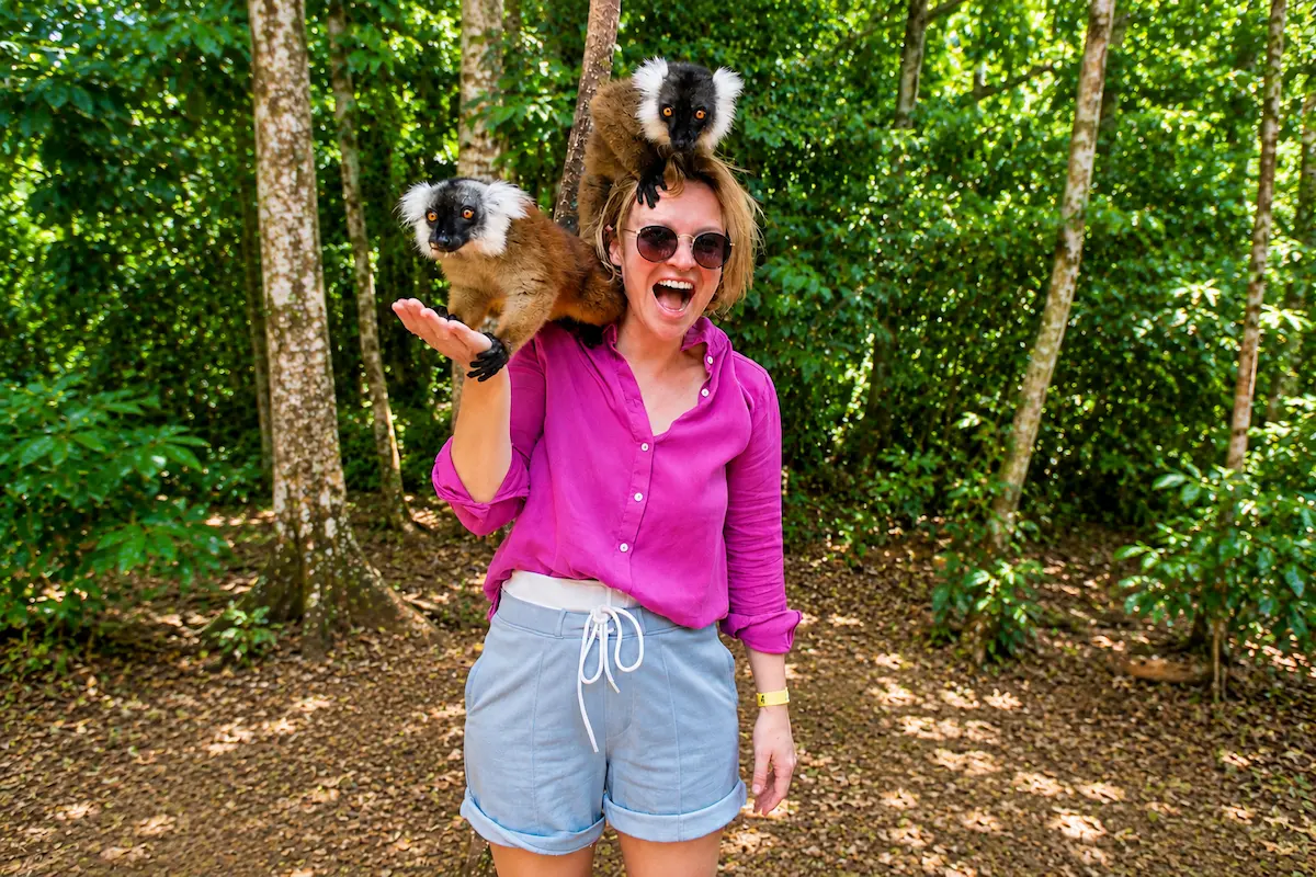 Wild brown lemurs in the forest of Nosy Komba, Madagascar