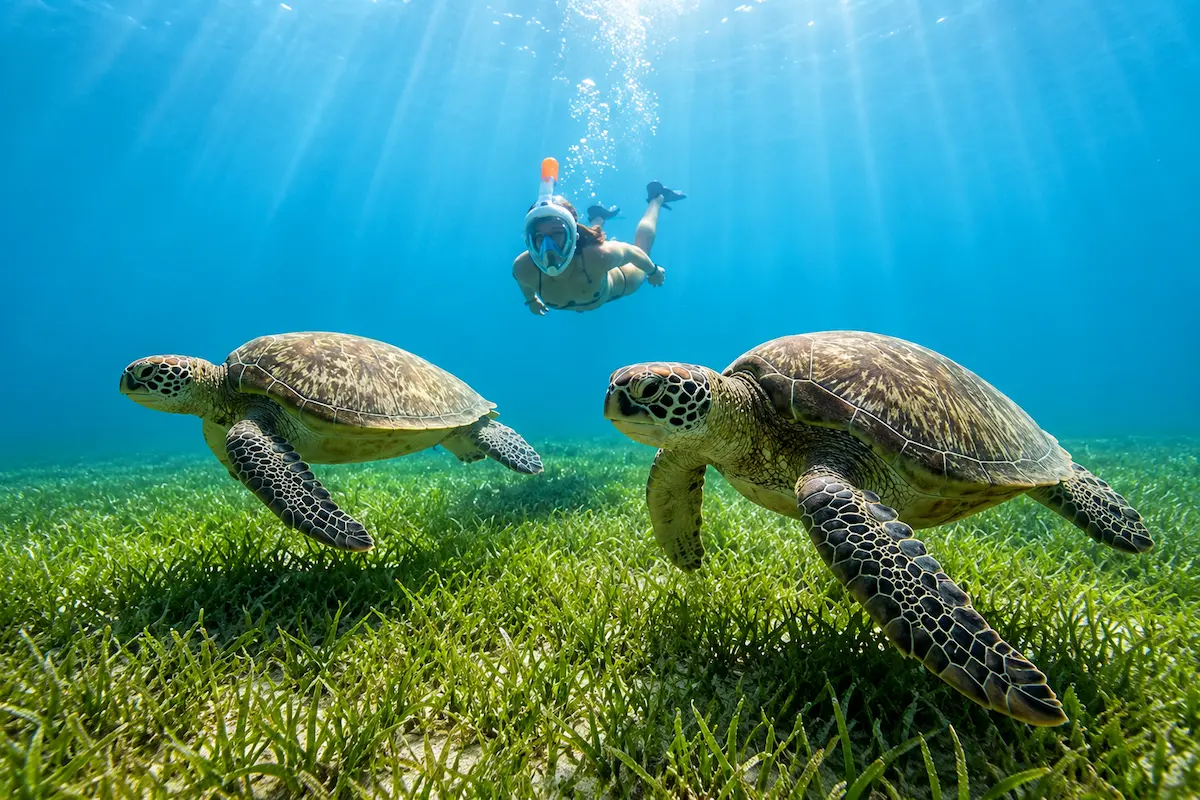 Group snorkeling tour at Nosy Sakatia Madagascar