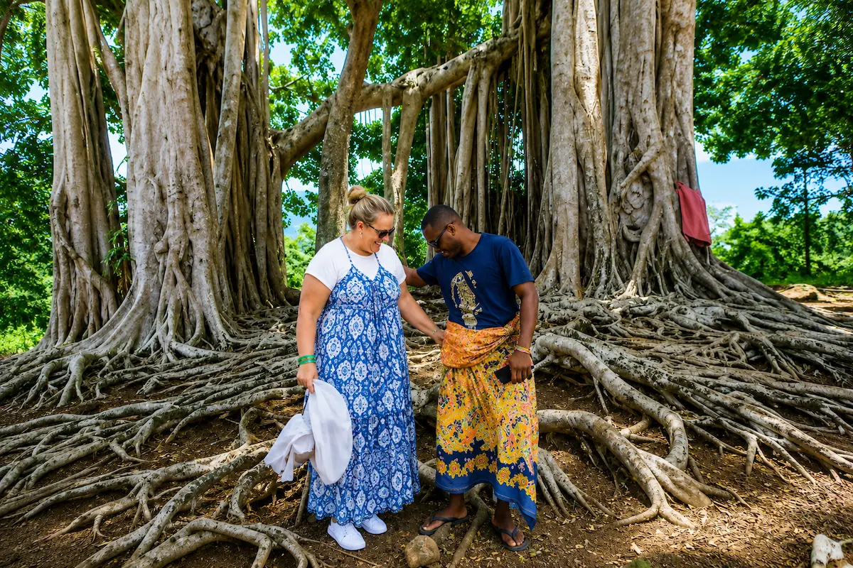 Sacred banyan tree visited during a cultural tour in Nosy Be Madagascar