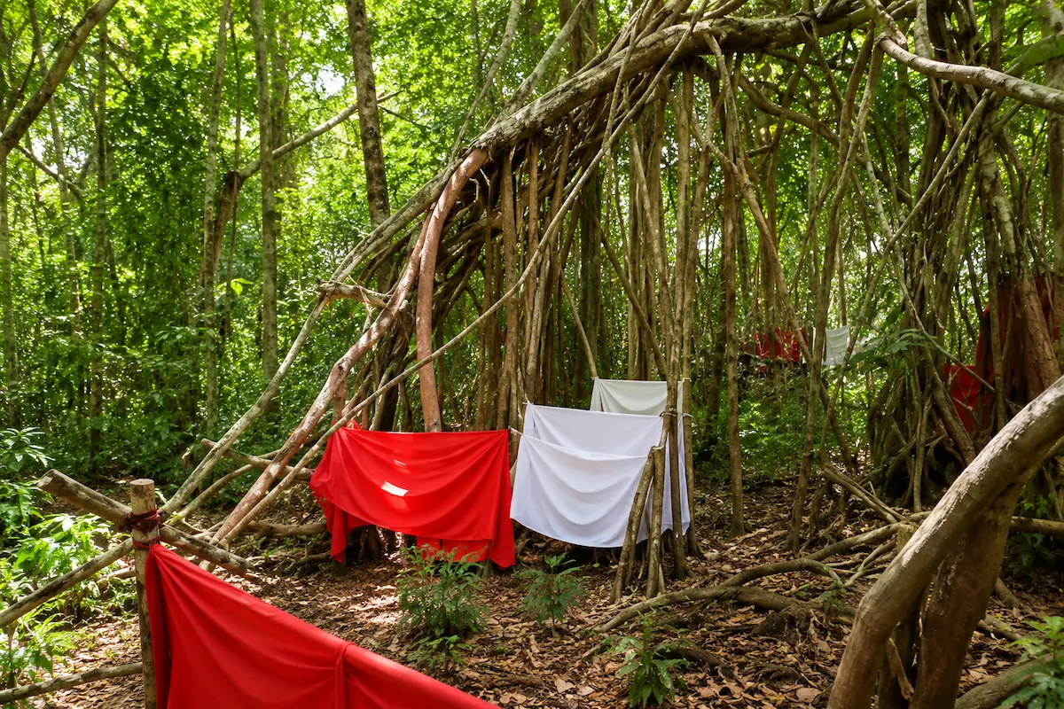 Sacred tree at Mahatsinjo, Nosy Be, Madagascar