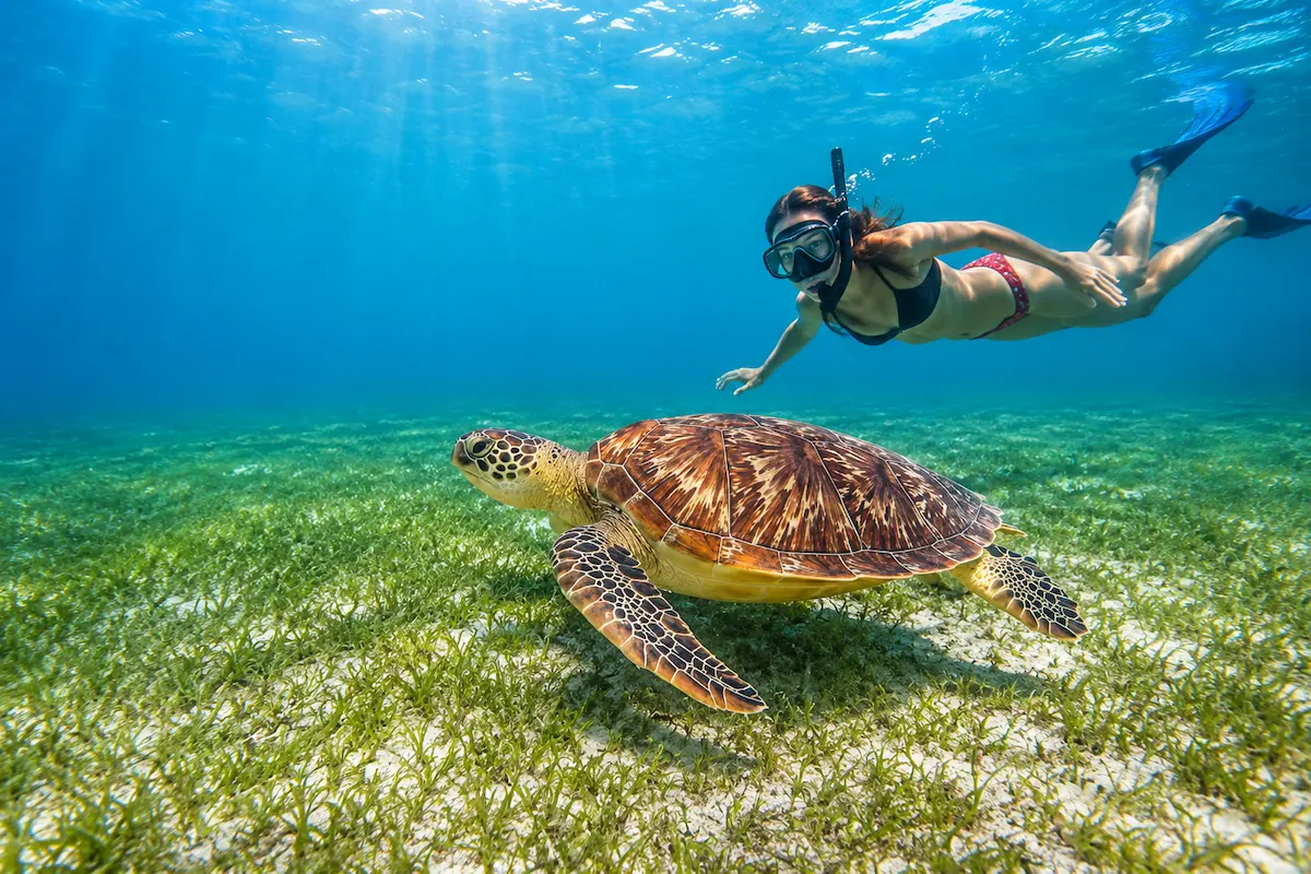 Sea turtle snorkeling experience at Nosy Sakatia Madagascar