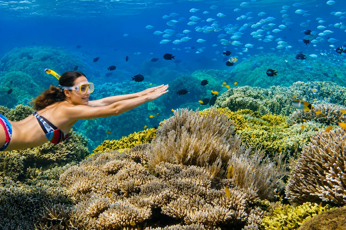 Snorkeling at Coral Reef near Nosy Sakatia Nosy Be