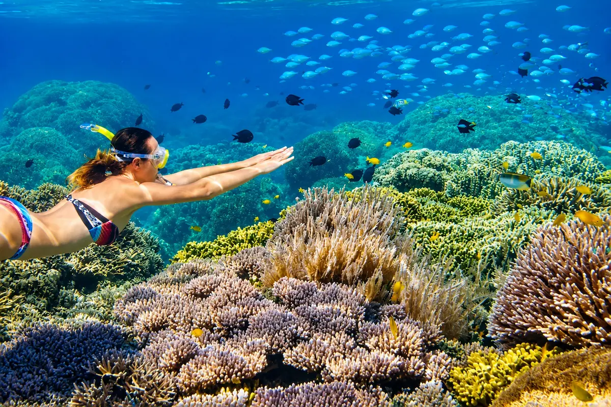 Swimming with colorful tropical fish in Nosy Sakatia, Madagascar
