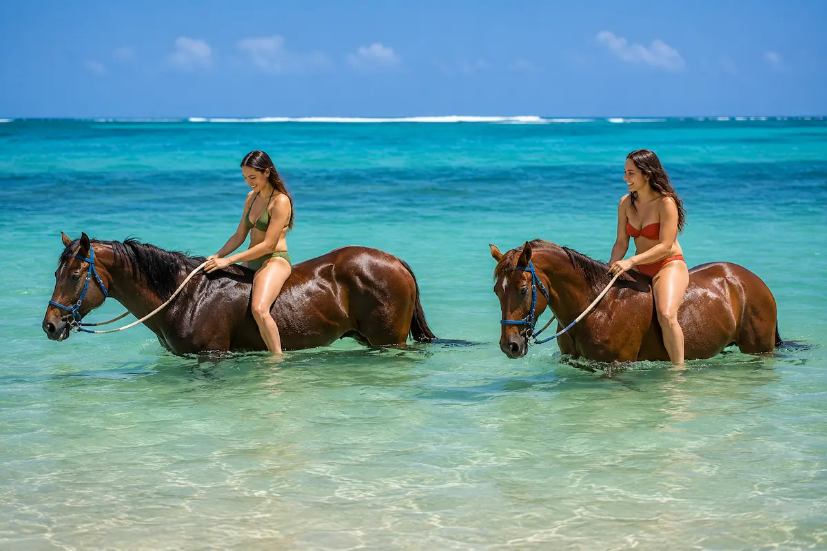 Swimming horses Nosy Be beach tour