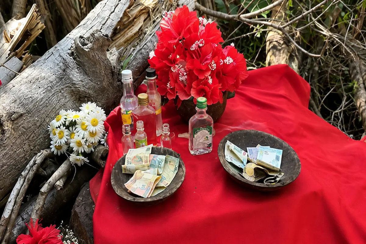Traditional ritual altar at Mahatsinjo Sacred Banyan Tree, Nosy Be, Madagascar