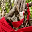 Ancestral shrine at Mahatsinjo, Nosy Be, Madagascar