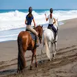 Beach horseback riding tour ocean