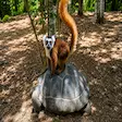Brown lemur riding on the back of a giant tortoise in Nosy Komba, Madagascar