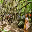 Sacred Banyan Forest at Mahatsinjo, Nosy Be, Madagascar