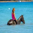 Horse swimming beach riding experience