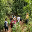 Tropical forest in Lokobe National Park, Nosy Be, Madagascar