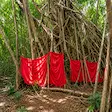 Mahatsinjo Sacred Banyan Tree shrine in Nosy Be, Madagascar