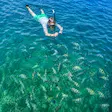 Marine wildlife experience in Nosy Sakatia, Madagascar