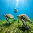 Group snorkeling tour at Nosy Sakatia Madagascar