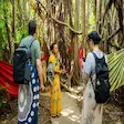 Sacred tree of Mahatsinjo historical site on Nosy Be island