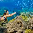 Snorkeling at Coral Reef near Nosy Sakatia Nosy Be