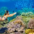 Swimming with colorful tropical fish in Nosy Sakatia, Madagascar