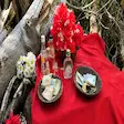 Traditional ritual altar at Mahatsinjo Sacred Banyan Tree, Nosy Be, Madagascar