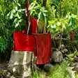 Traditional sacred forest shrine in Madagascar