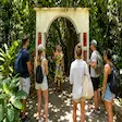 Welcome to the Sacred Banyan Tree of Mahatsinjo, Nosy Be, Madagascar