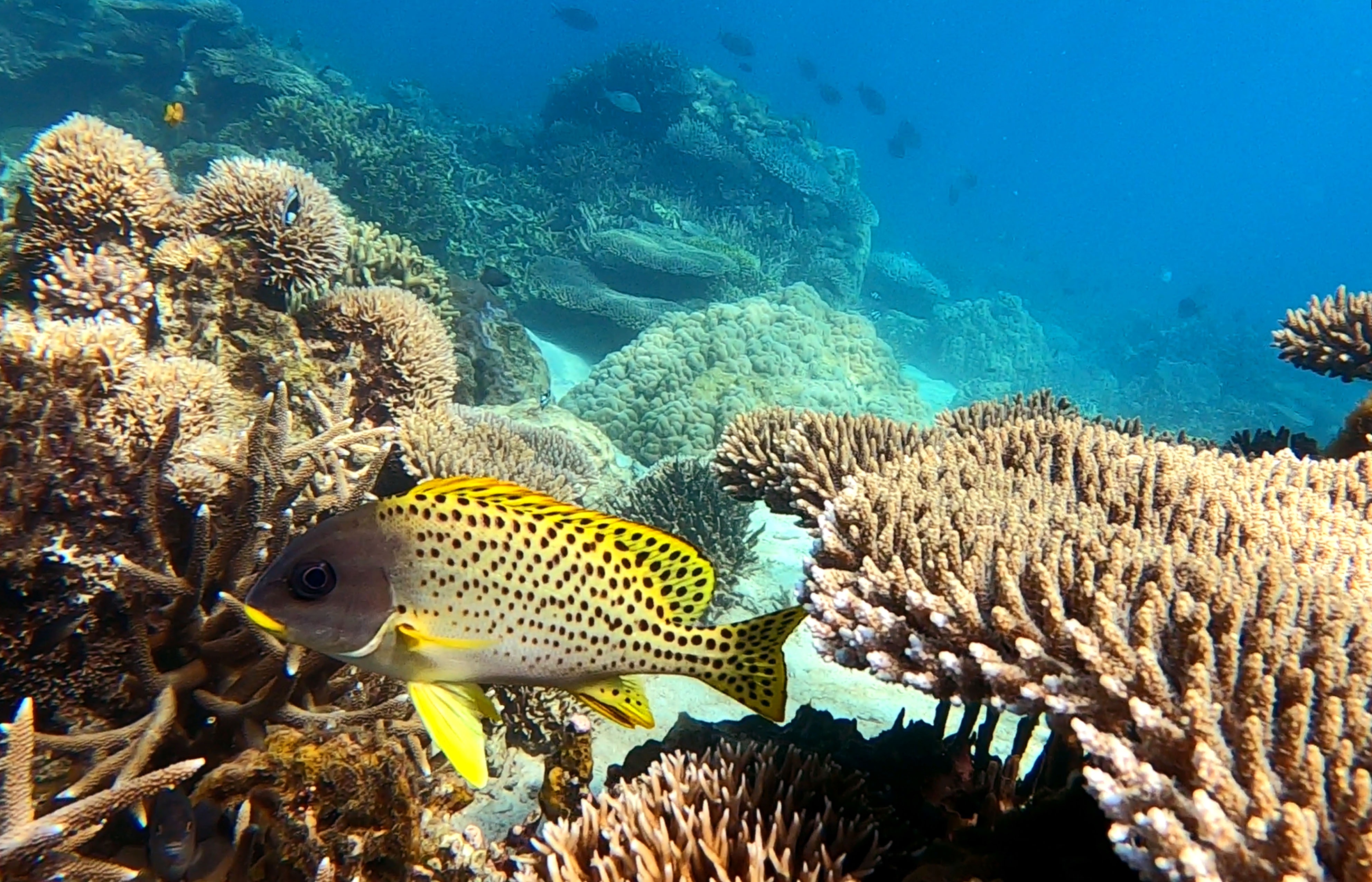 Excursion Nosy Be Madagascar Tour Trips