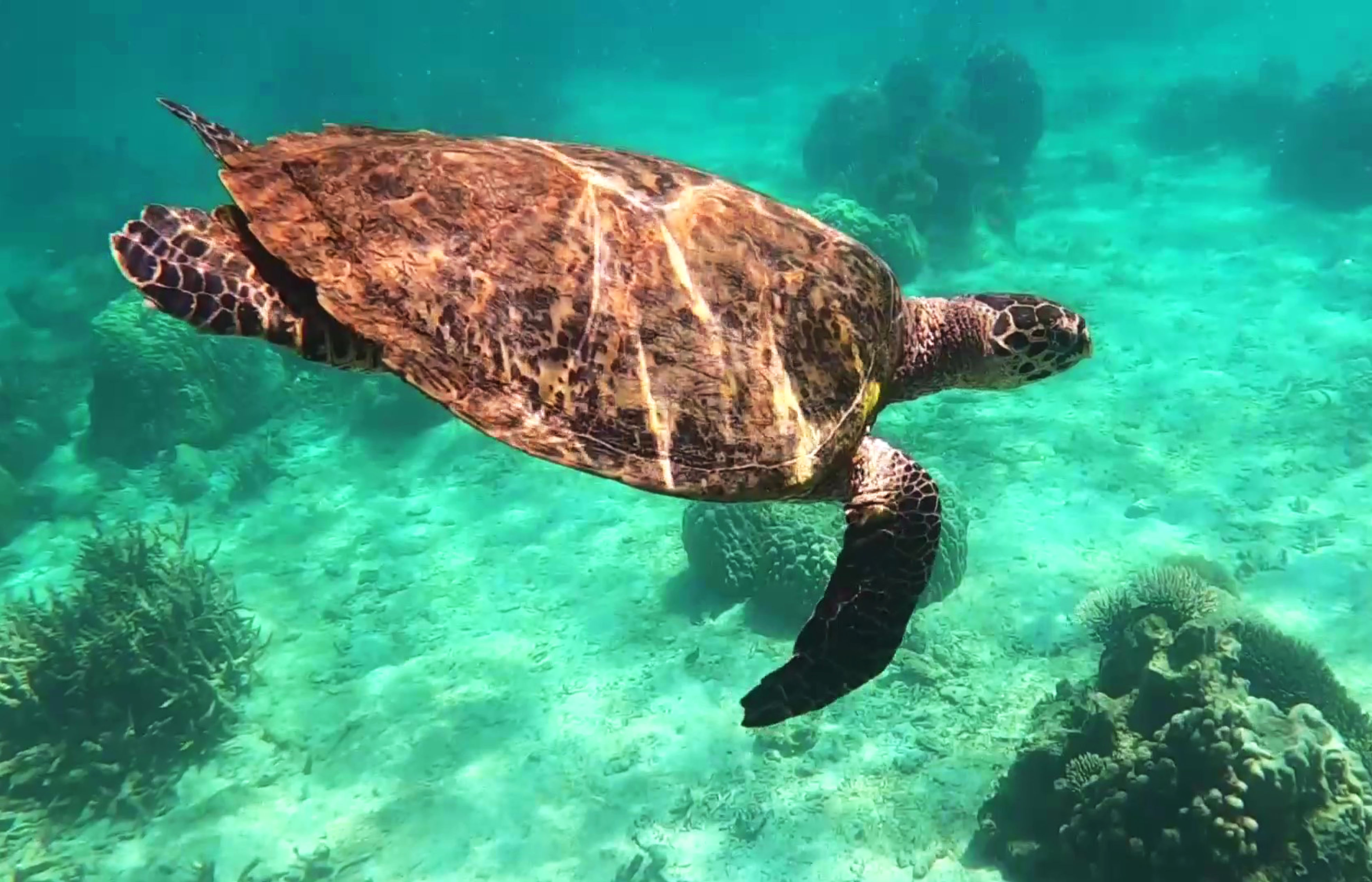 Excursion Nosy Be Madagascar Tour Trips
