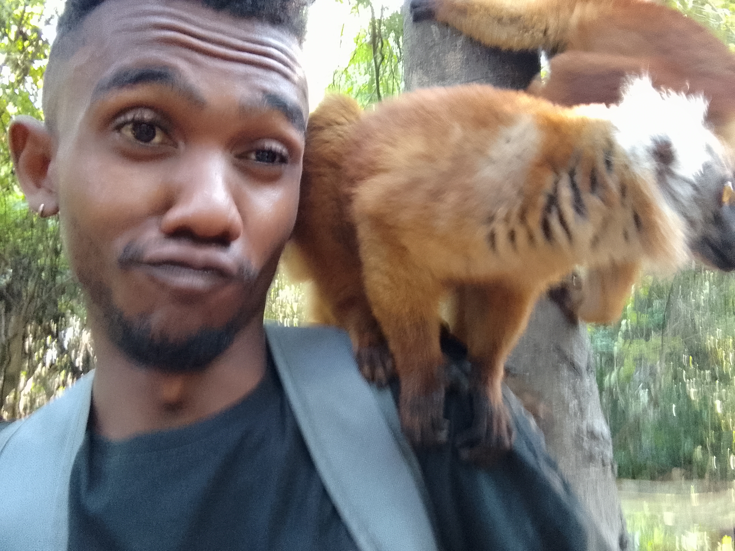 Excursion Nosy Be Madagascar Tour Trips