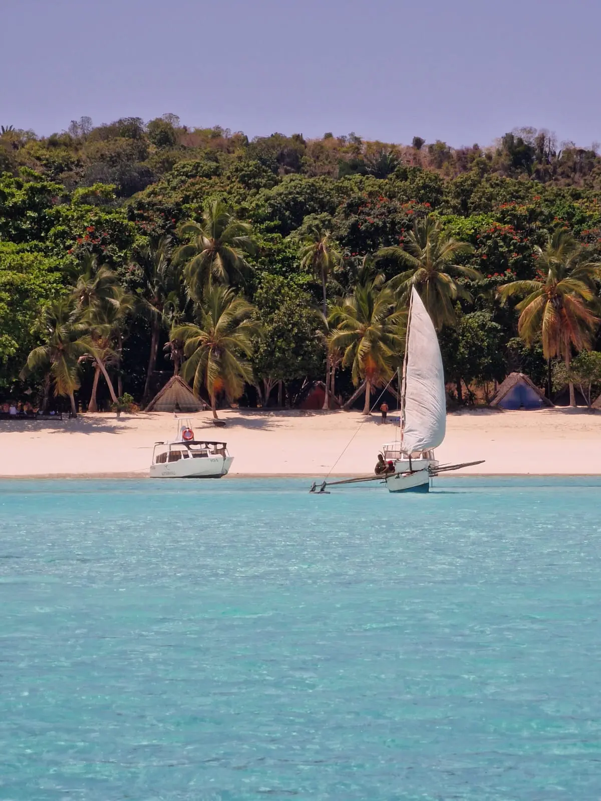 Ylang Ylang Plantation