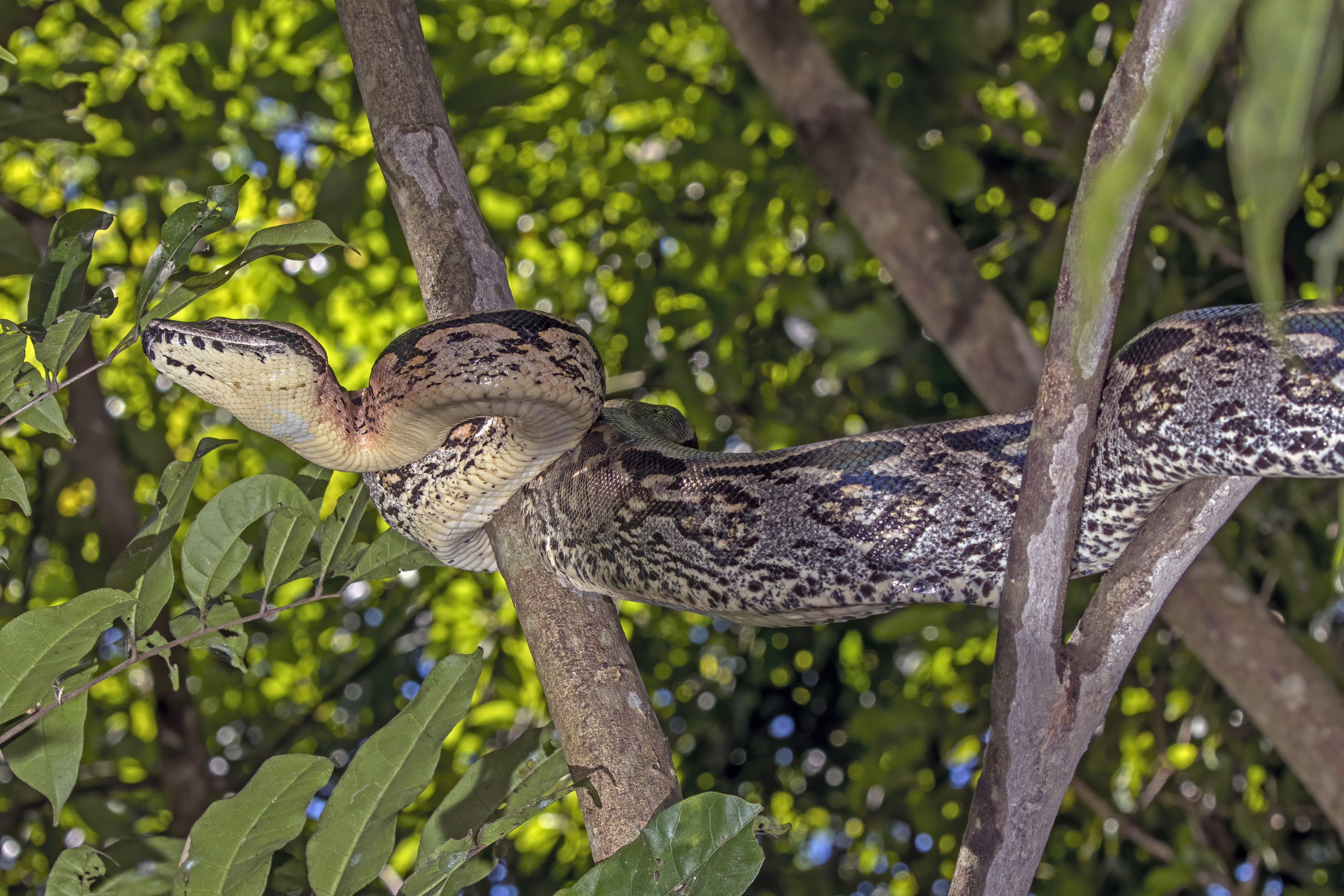 Excursion Nosy Be Madagascar Tour Trips