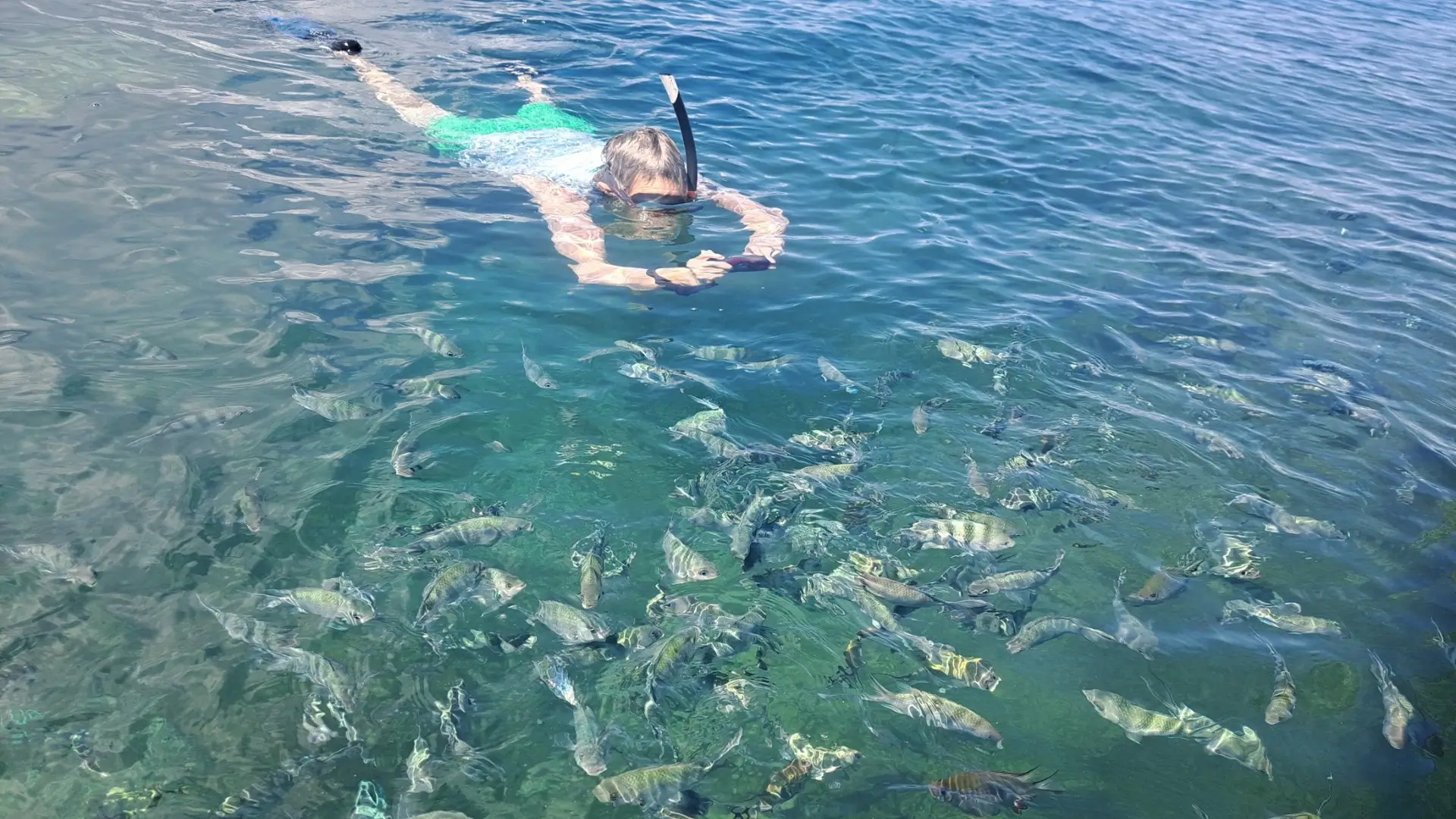 Snorkeling with fish in Nosy Sakatia – family-friendly sea excursion