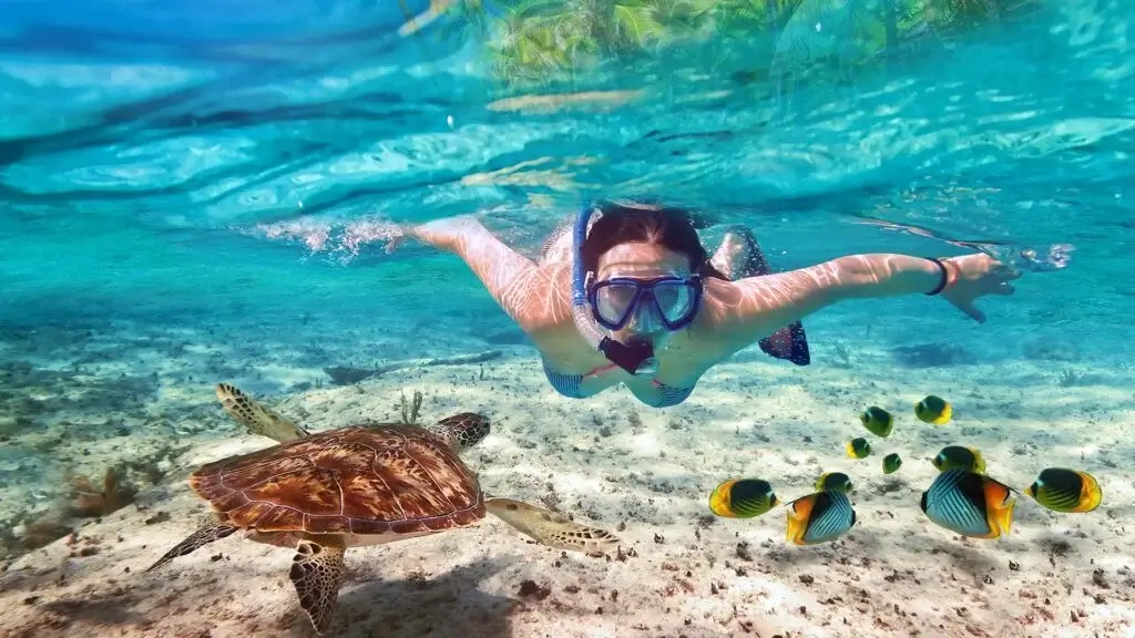 Nosy Tanikely Marine Park – tropical coral reef and island exploration