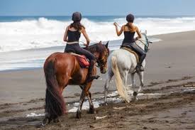 horse tour nosy be tourist guide madagascar trips