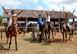 horse tour nosy be tourist guide madagascar trips