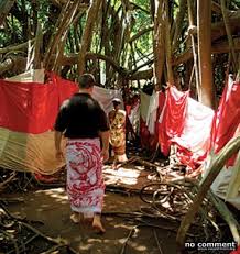 SACRED TREE MAHATSINJO NOSY BE MADAGASCAR CULTURE ,tradition,guide,tour,trips