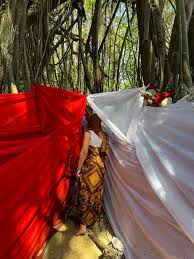 SACRED TREE MAHATSINJO NOSY BE MADAGASCAR CULTURE ,tradition,guide,tour,trips