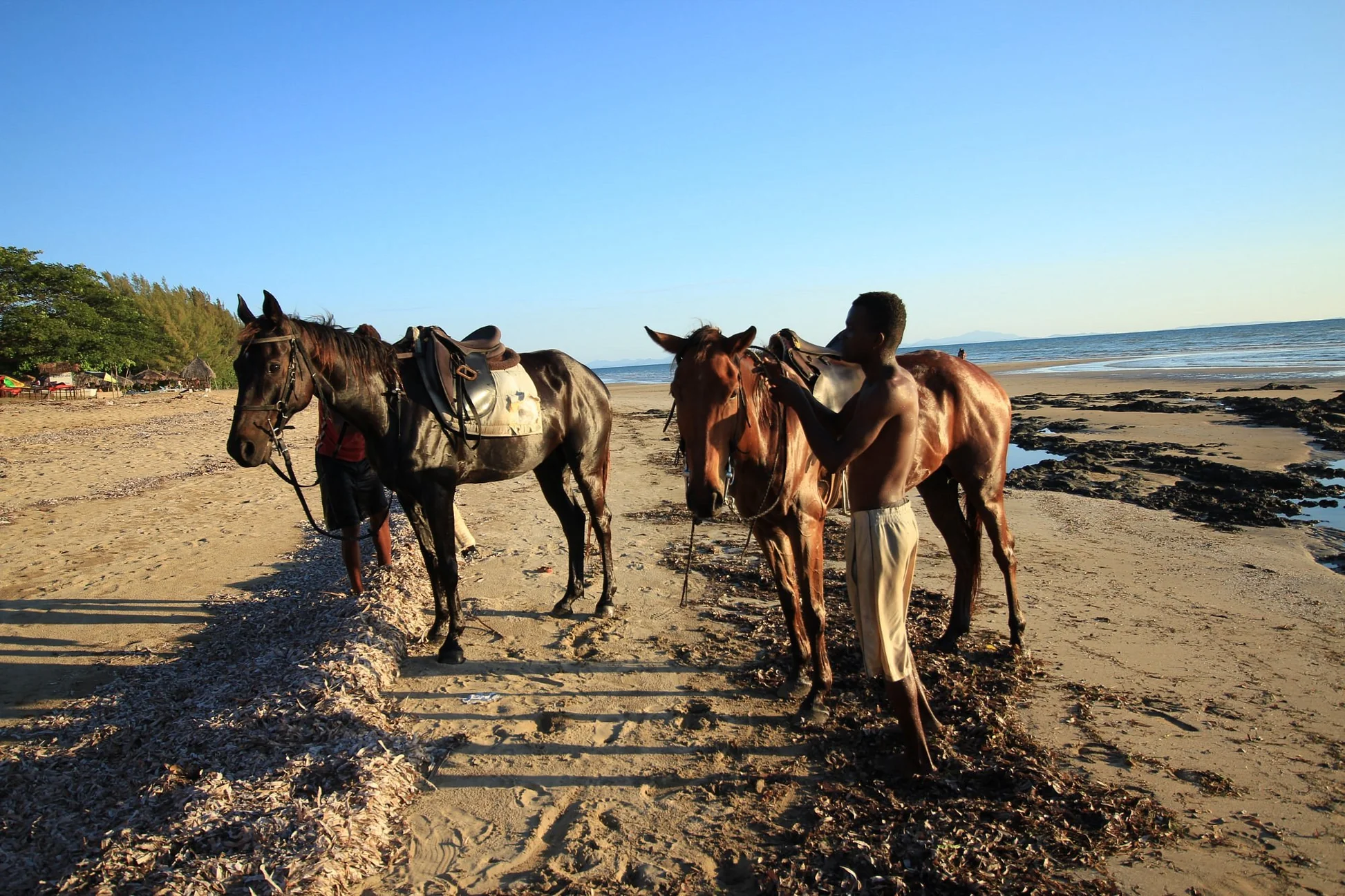 Guided horse tour exploring Nosy Be Madagascar landscapes